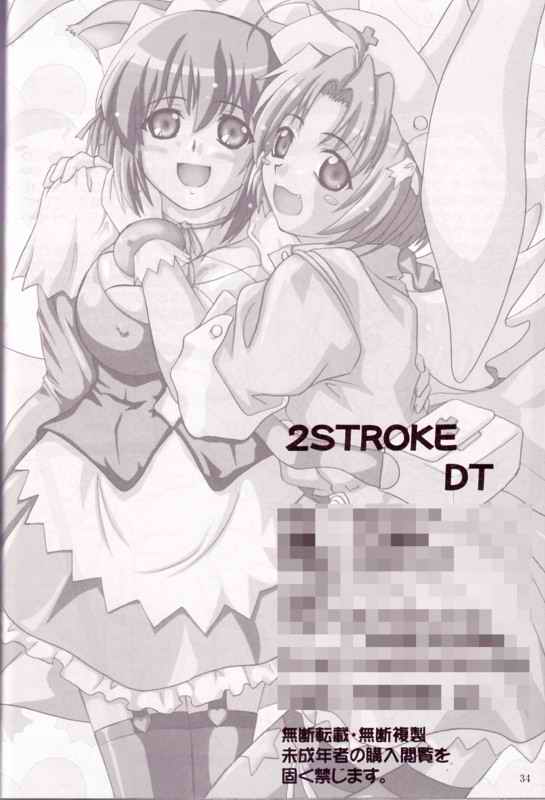 2STROKE DT 33ページ