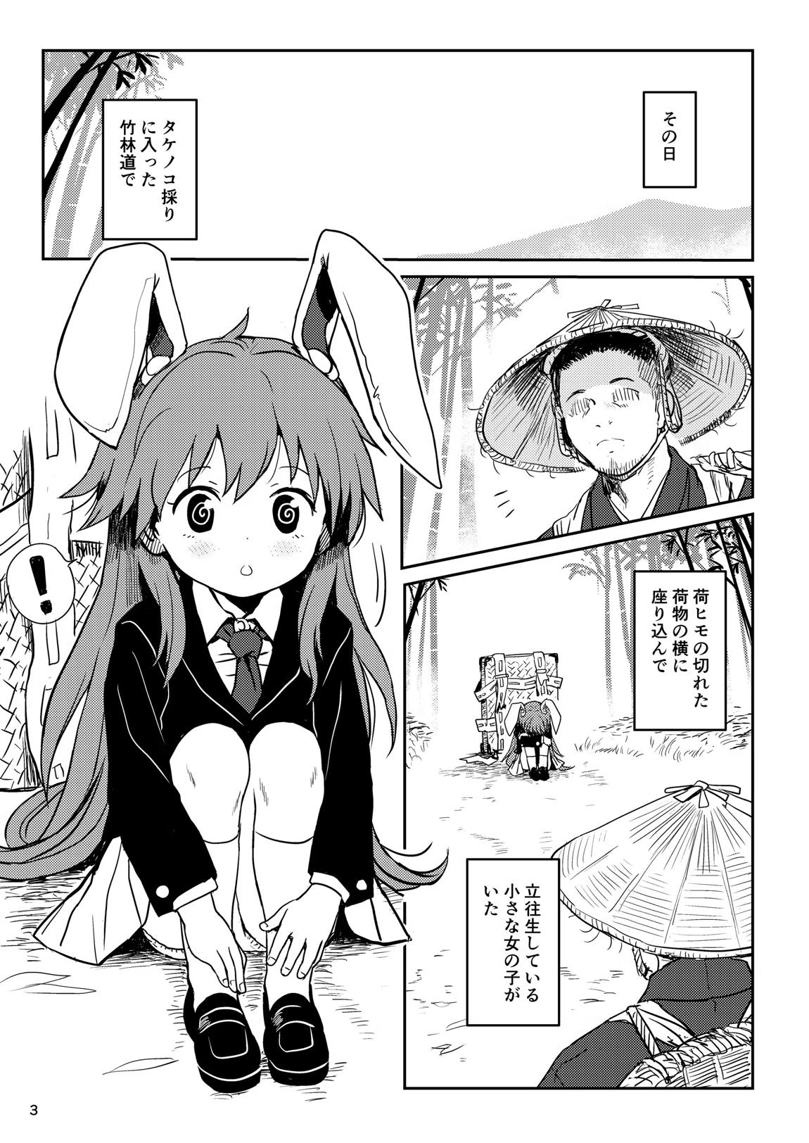 ルナティックうどんげちゃん！ 3ページ