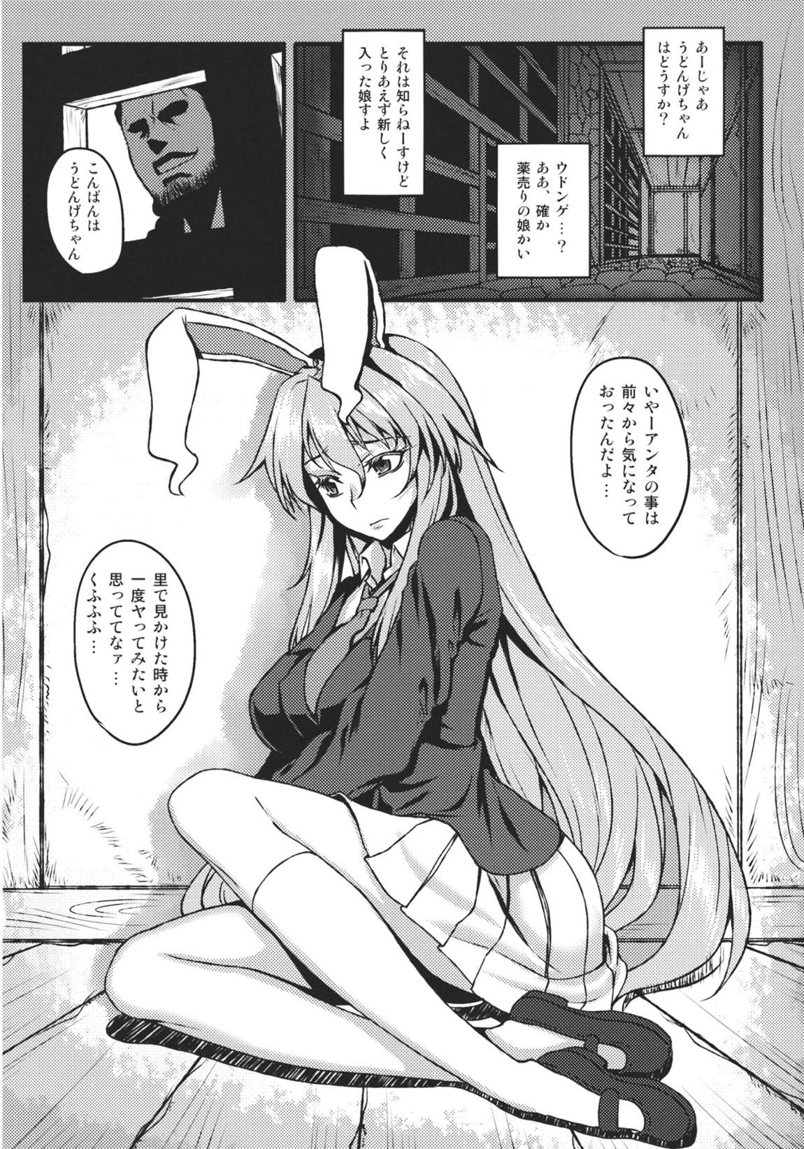 嗜虐幻想郷～鈴仙・優曇華院・イナバ～ 5ページ