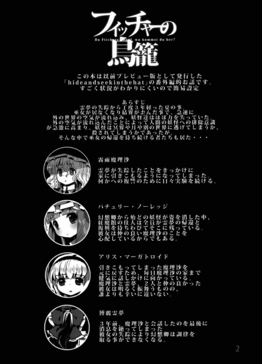 フィッチャーの鳥籠 3ページ
