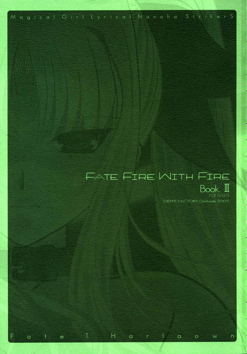 FATE FIRE WITH FIRE 3 2ページ