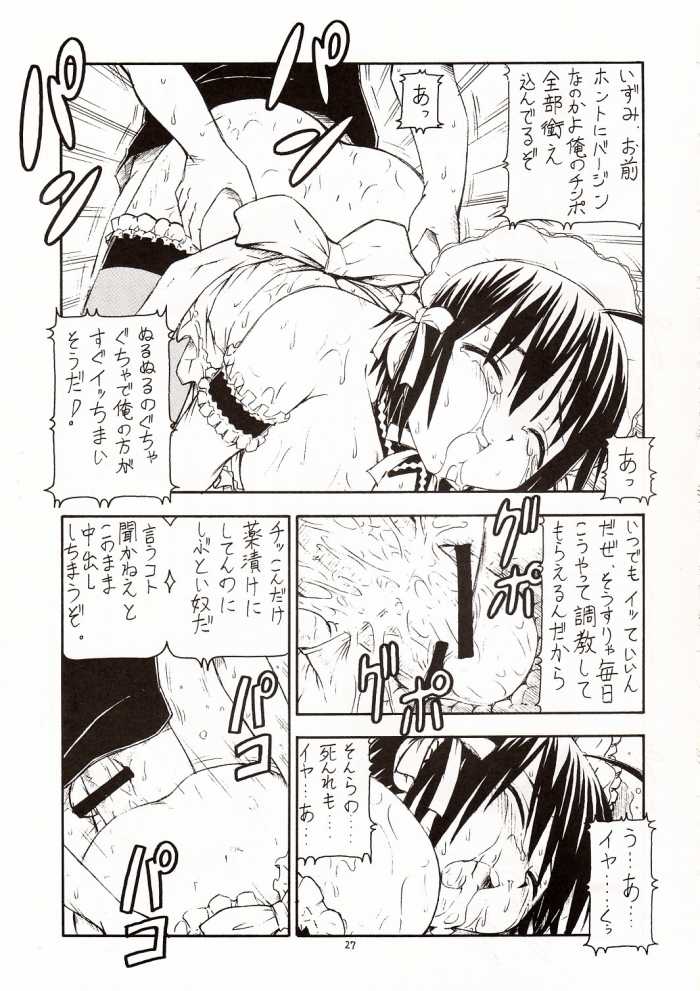 これが鬼畜な御主人様 28ページ