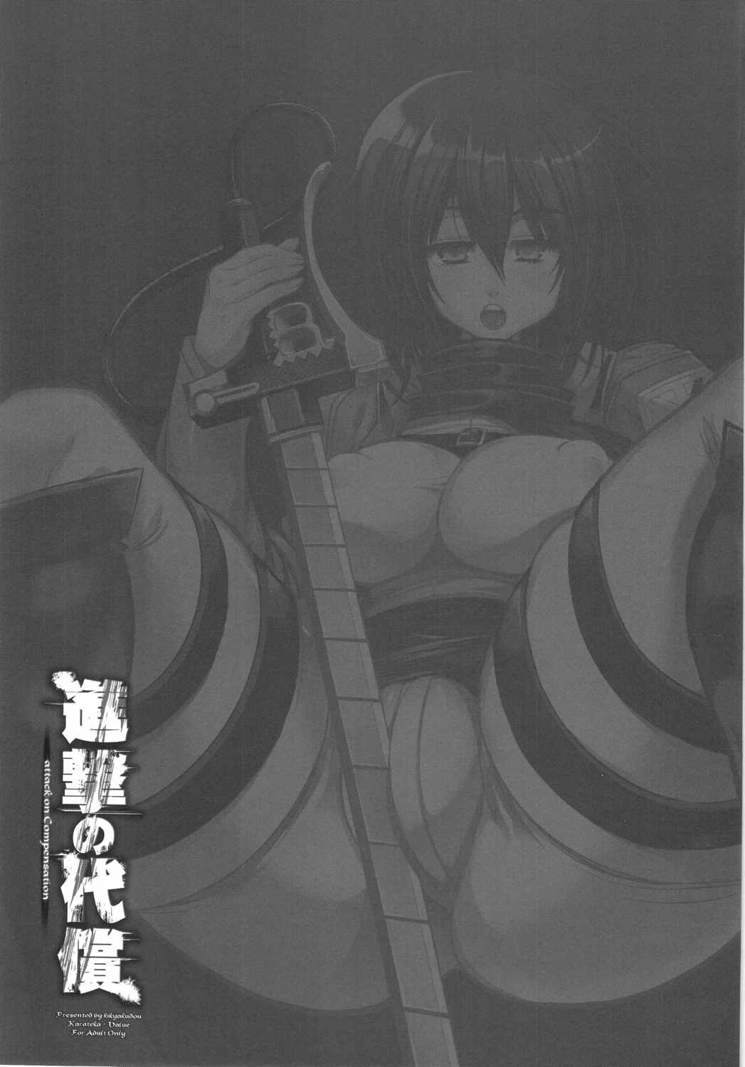 進撃の代償＋ペーパー 25ページ