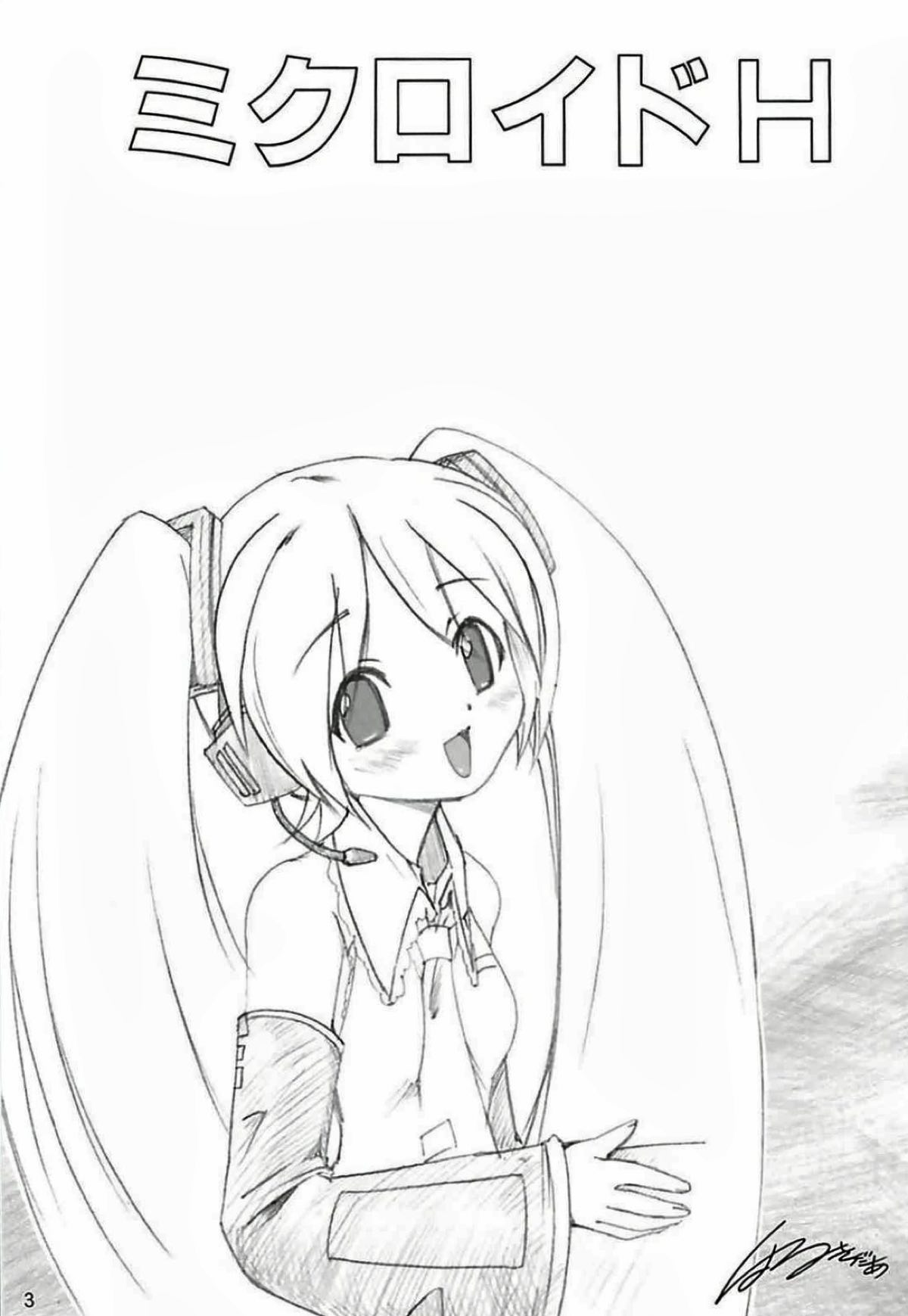 ミクロイドH 2ページ