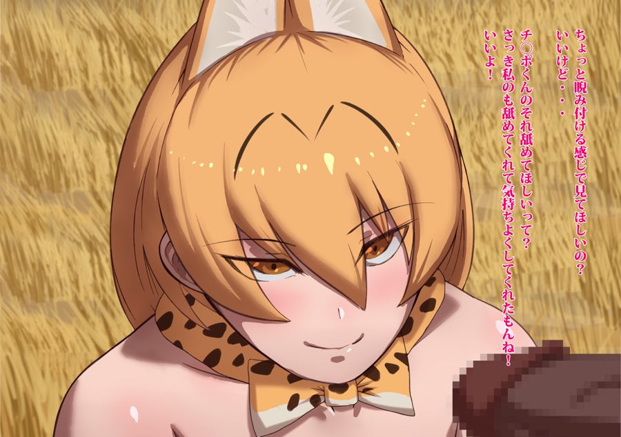 けものフレンズとSEXフレンズ ～初めての出会い～ 14ページ