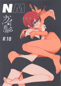 NM ナノメートルの距離