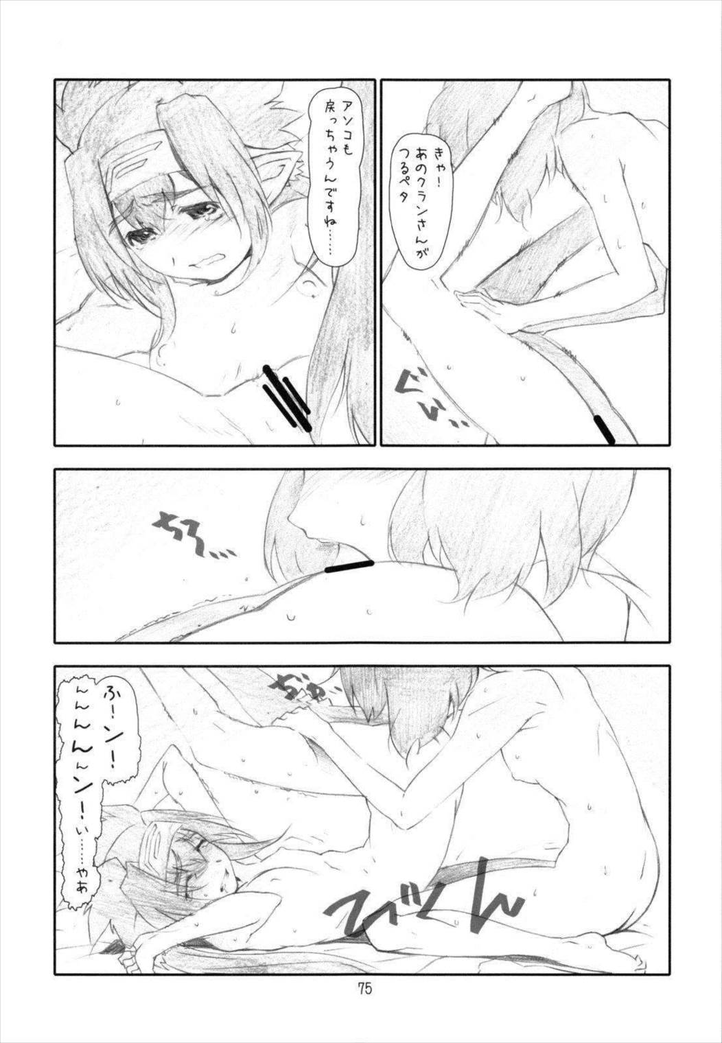 ANIM-N 74ページ