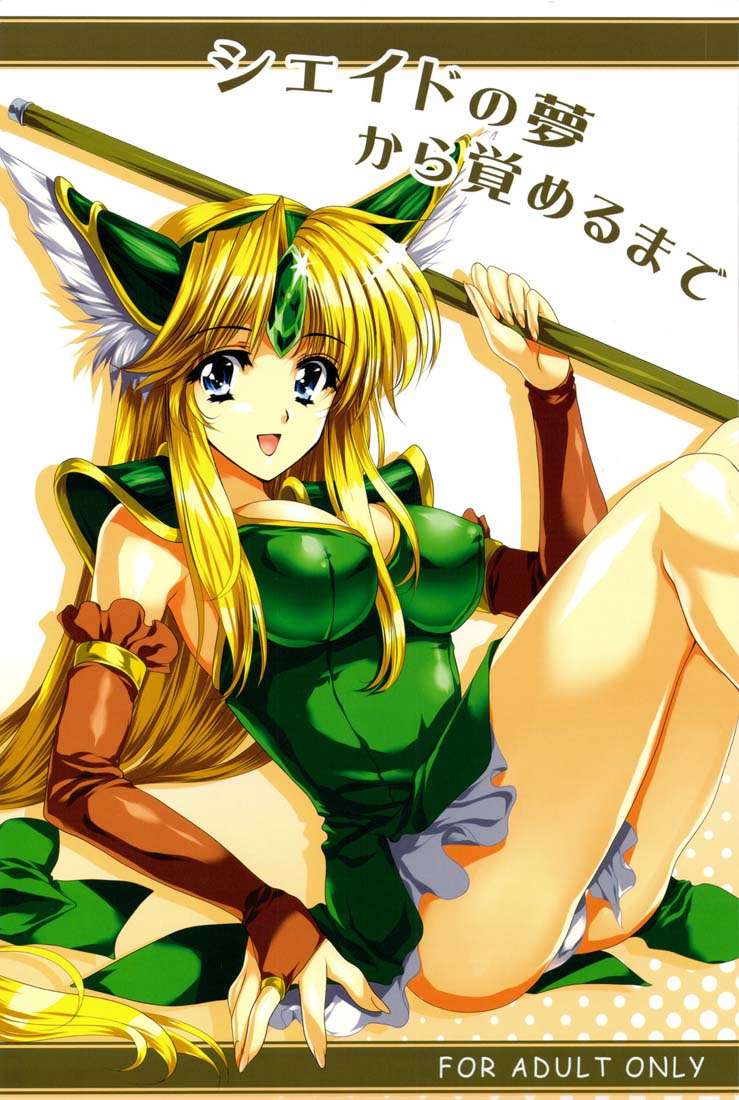 シェイドの夢からさめるまで 1ページ