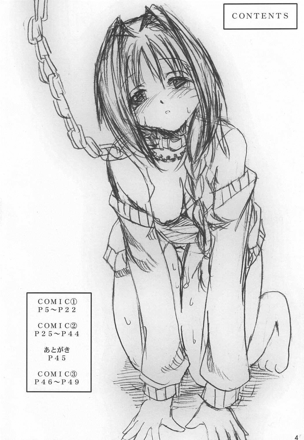秋子さんの多忙な日々 3ページ