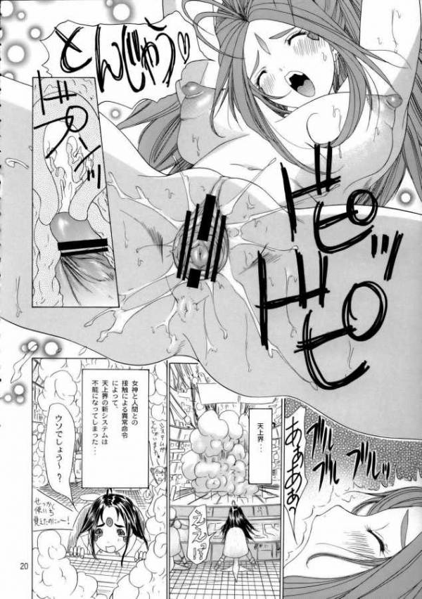 the sport of fortune 17ページ