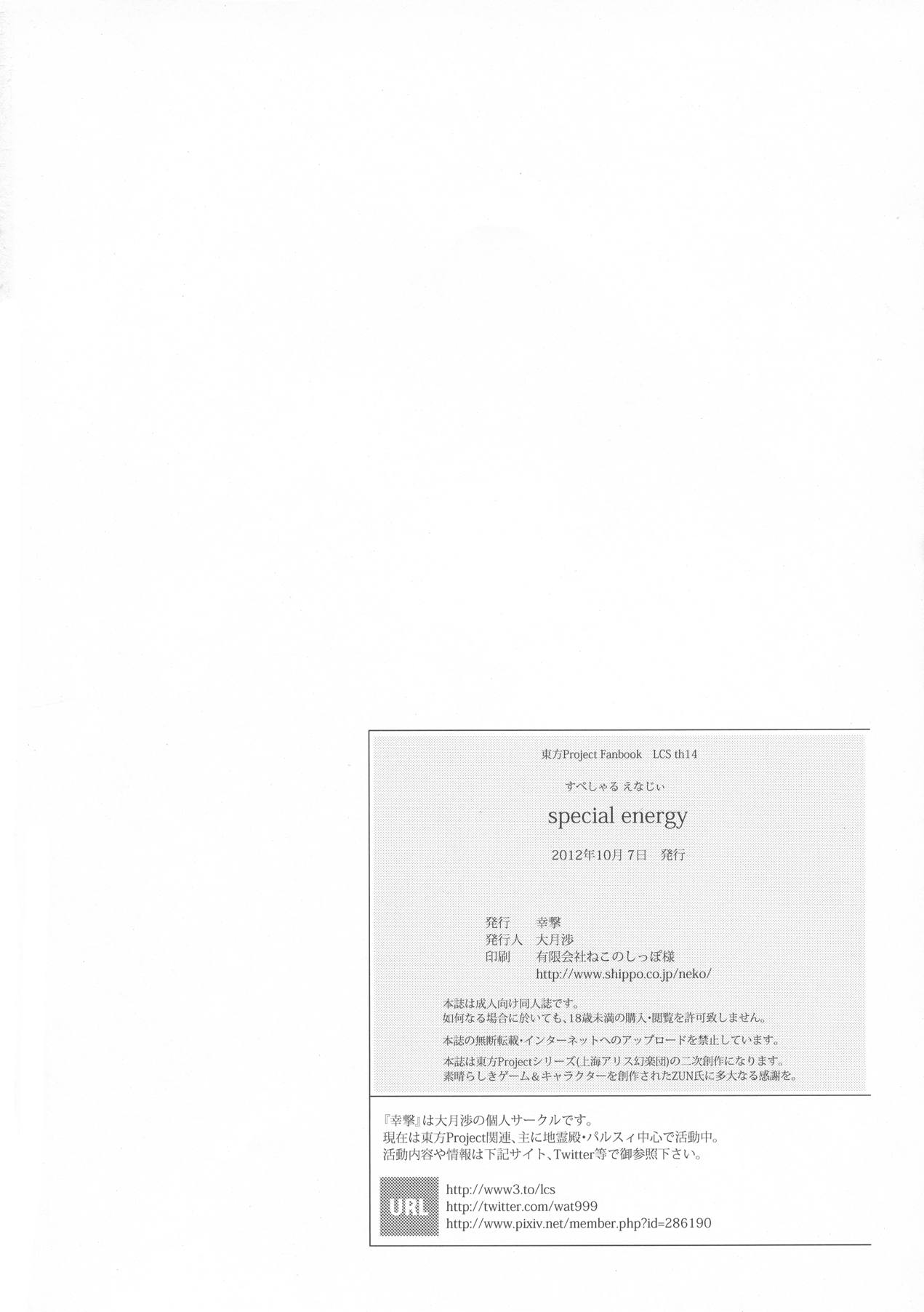 special energy 26ページ