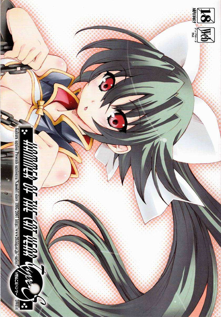 HAMMER OF THE CAT YEAR Type-S 1ページ