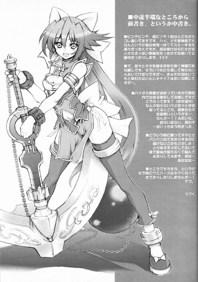 HAMMER OF THE CAT YEAR Type-S 12ページ