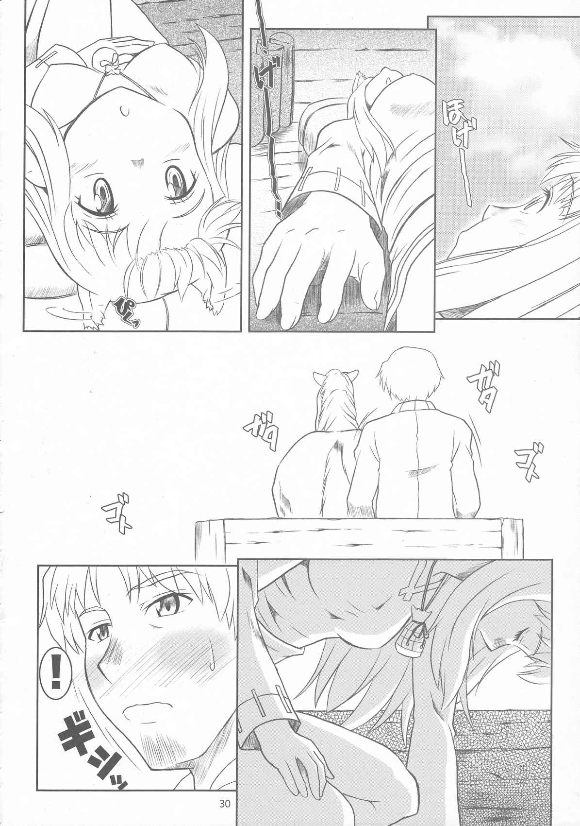 おおかみと孤独なしっぽ 29ページ