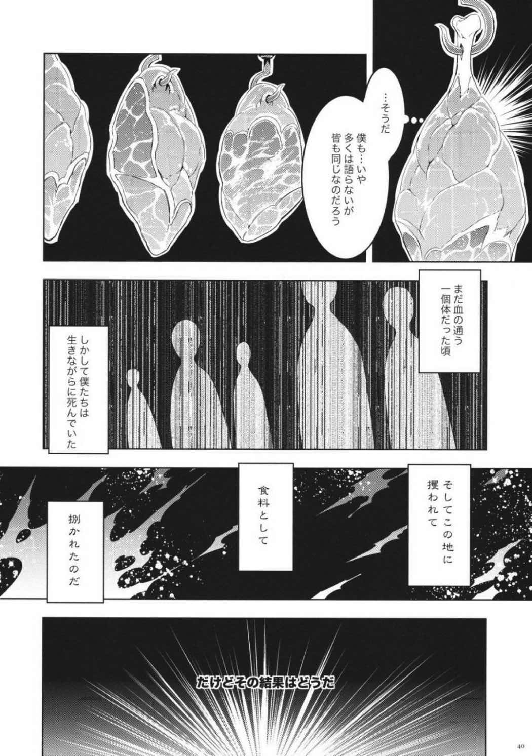東方モブキャラアンソロジー ひとりひとつのユートピア 41ページ