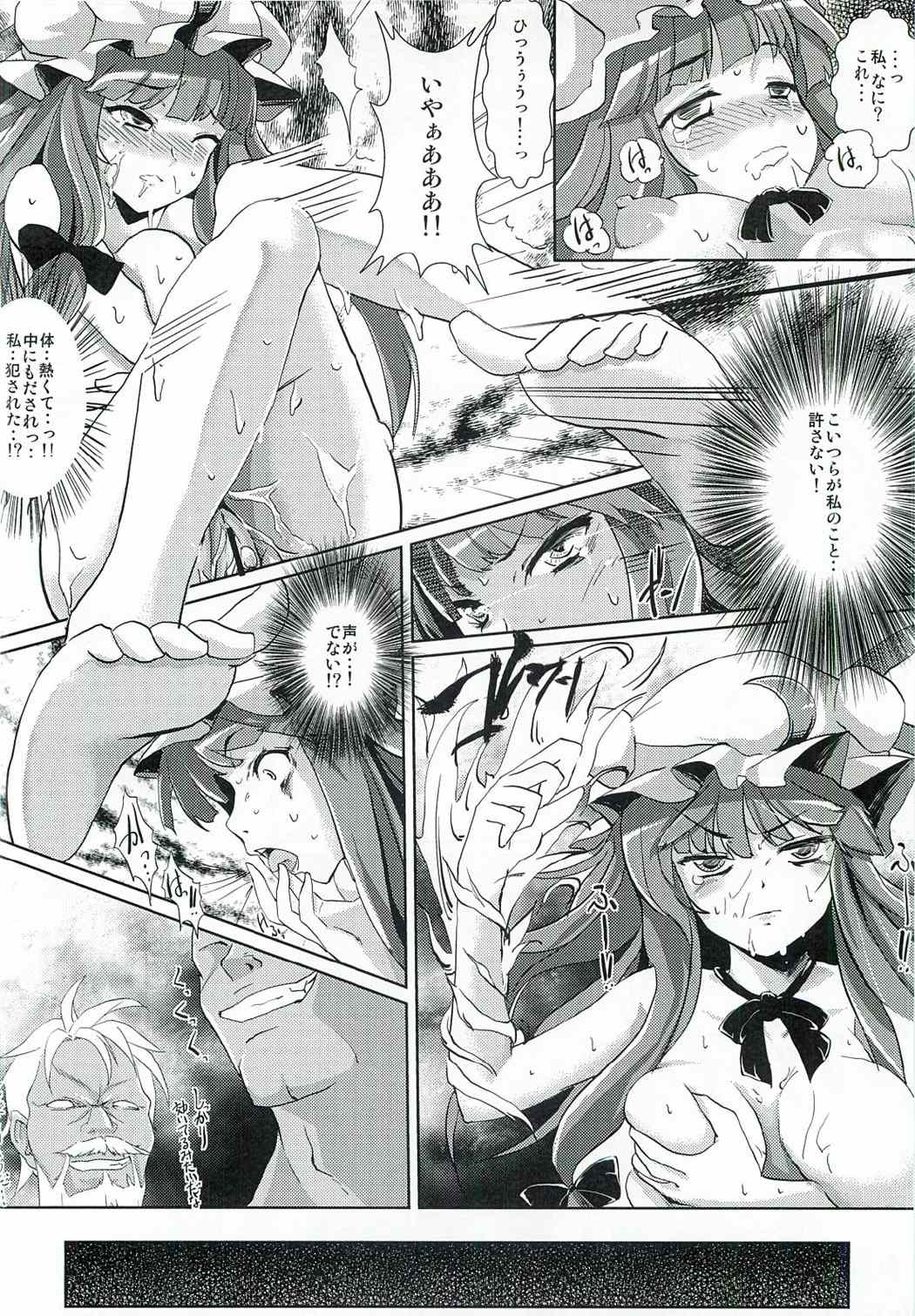 紅魔館攻略作戦七日間～パチュリー・紅美鈴偏～ 19ページ