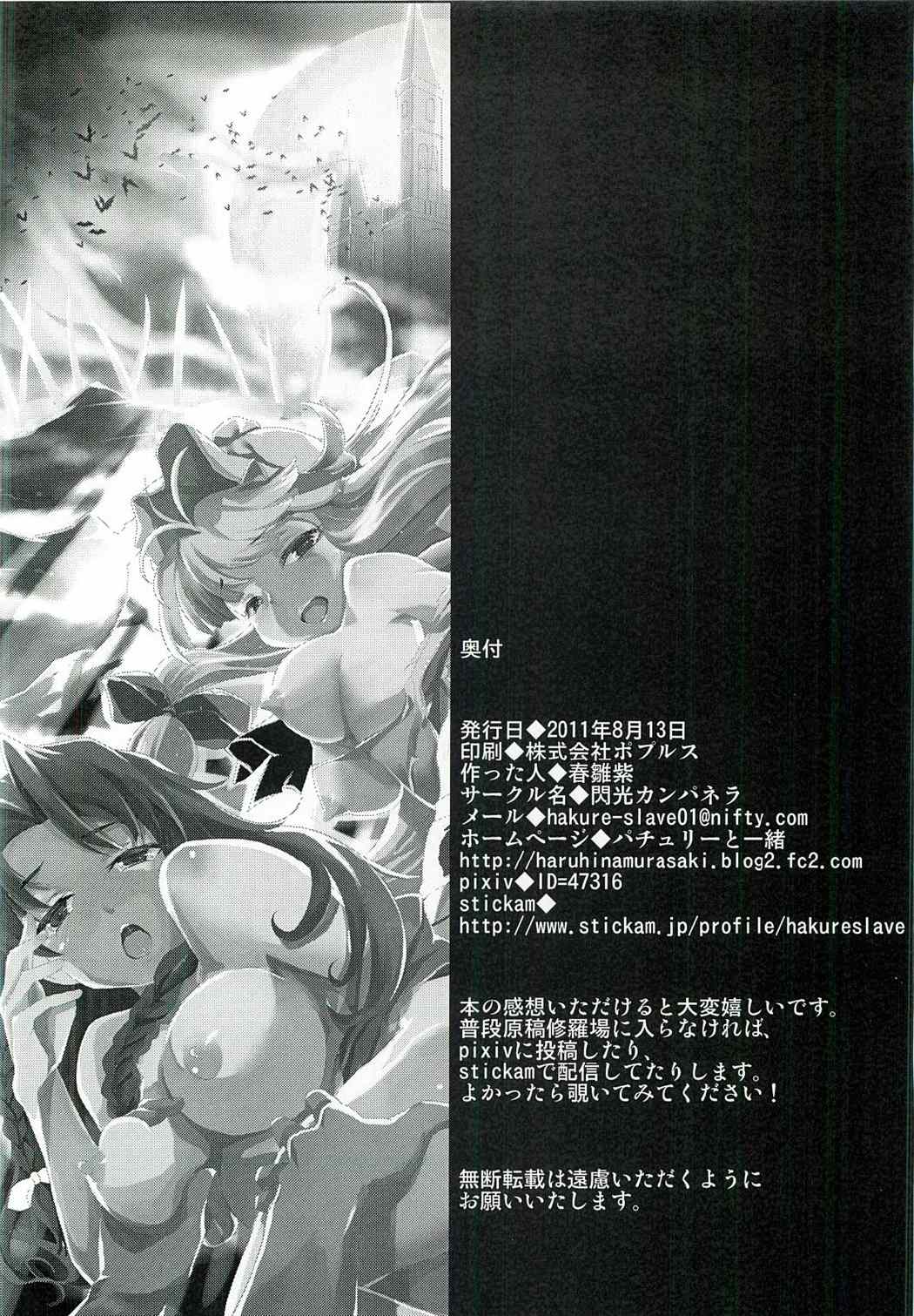 紅魔館攻略作戦七日間～パチュリー・紅美鈴偏～ 29ページ