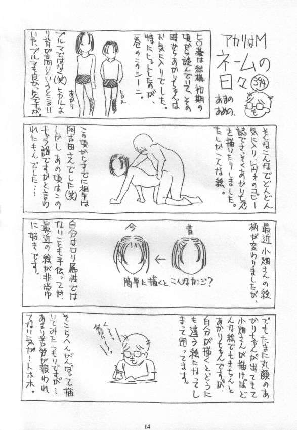 アカリはM 13ページ