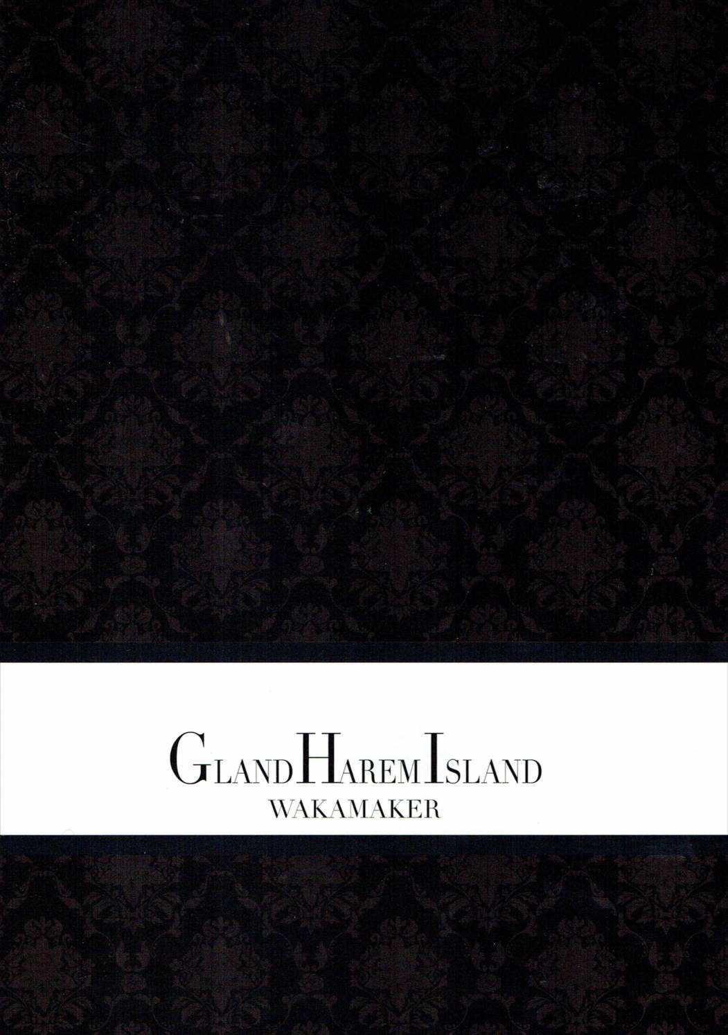 GRAN HAREM ISRAND 20ページ