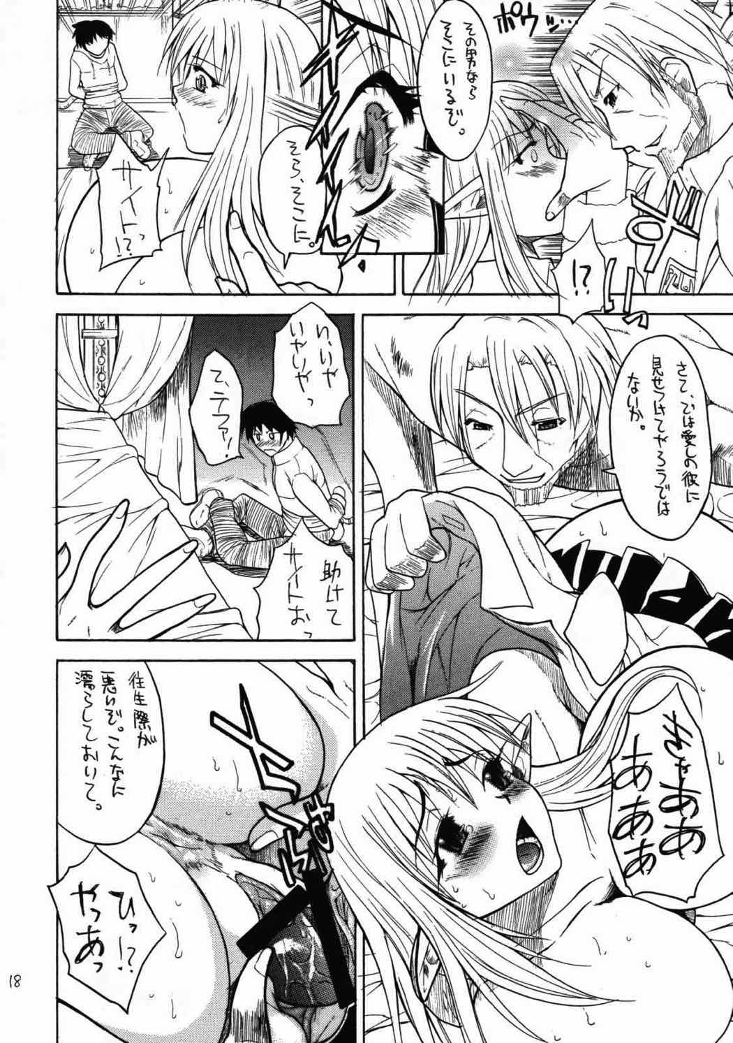 おっぱいの使い魔 17ページ