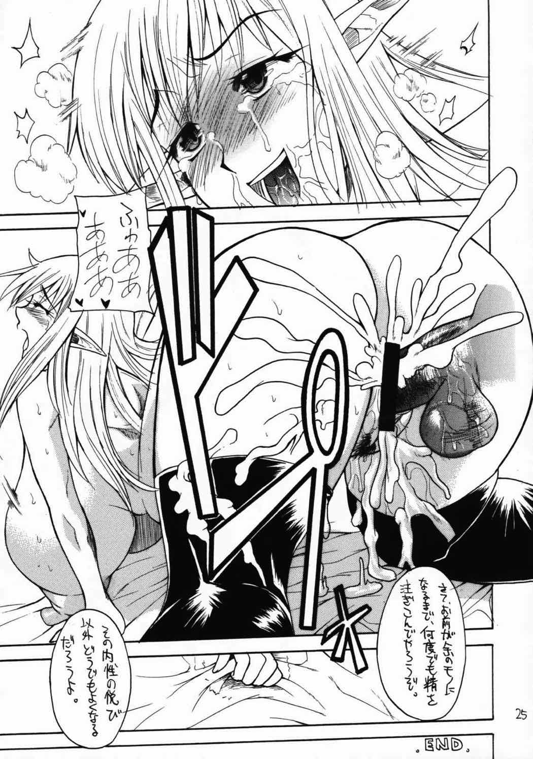 おっぱいの使い魔 24ページ