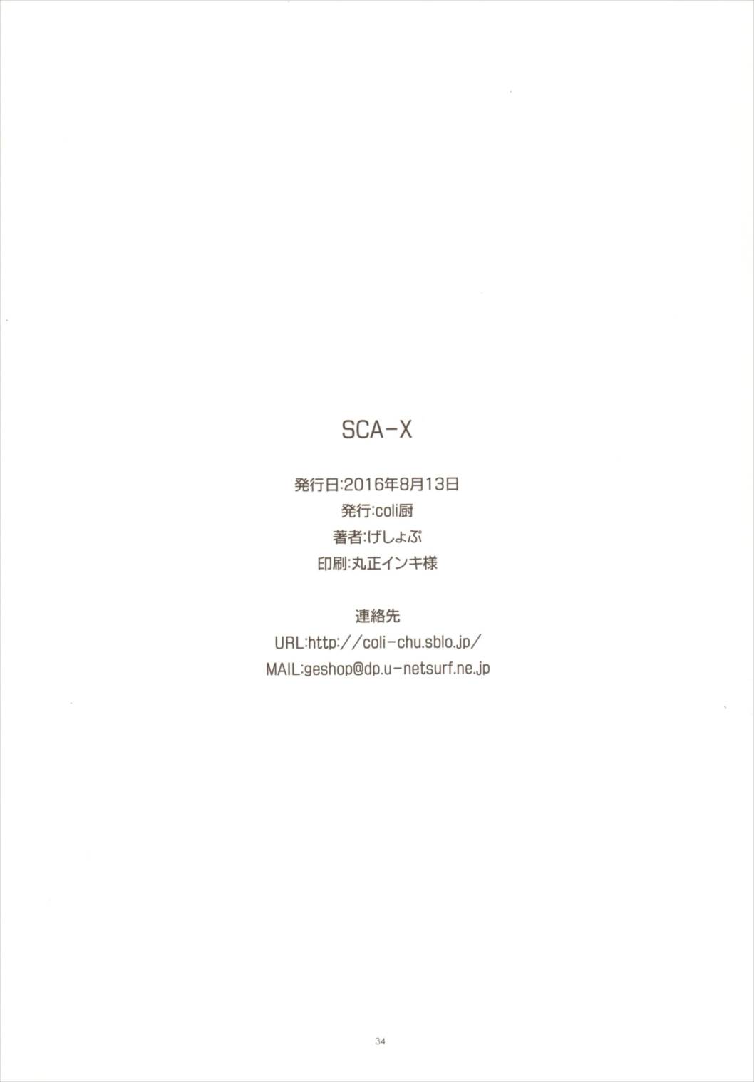 SCA-X 33ページ