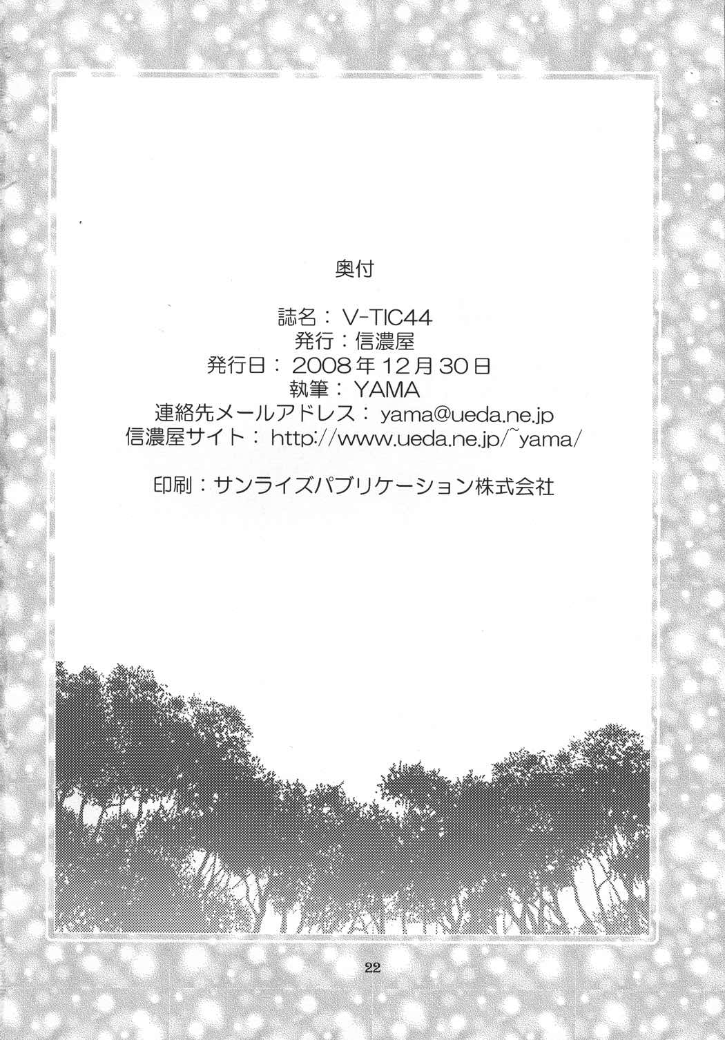 V-TIC 44 21ページ