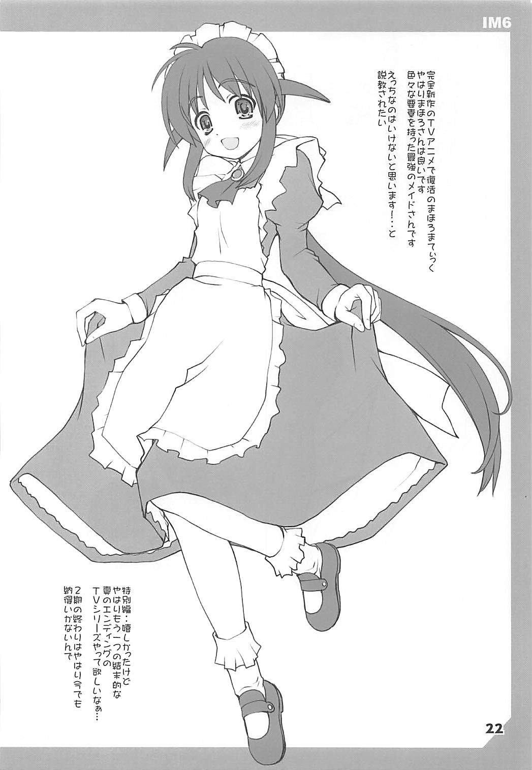 IM 6 SP 21ページ