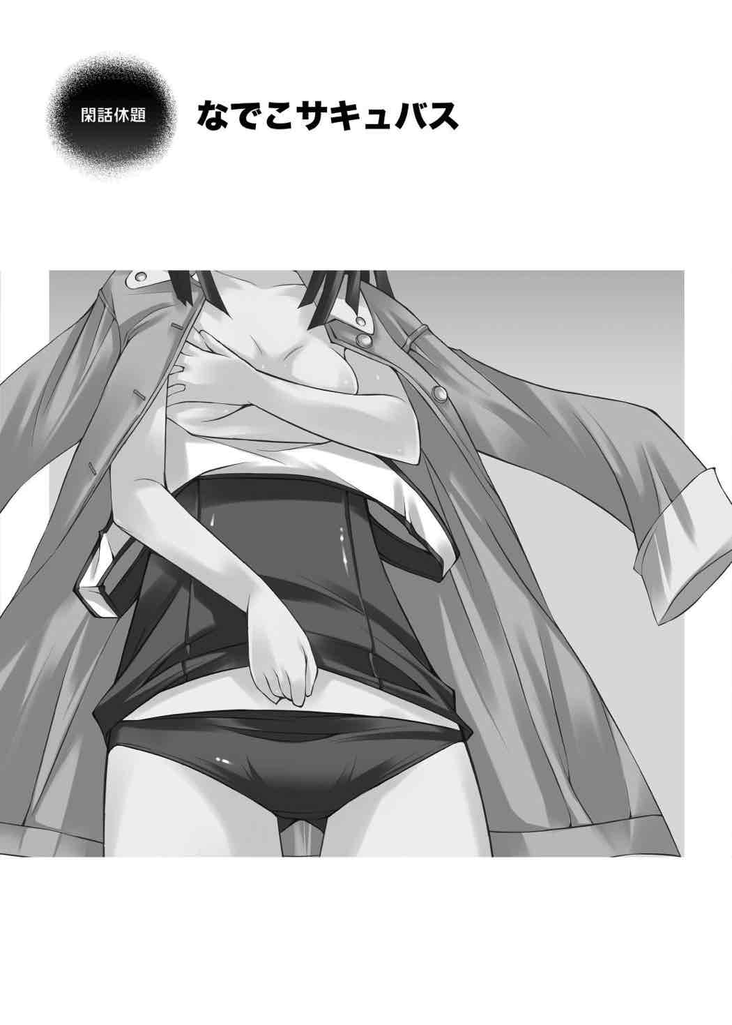 なでこサキュバス 2ページ
