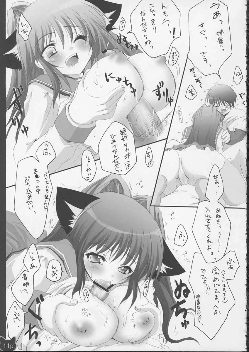 ねこたま 10ページ