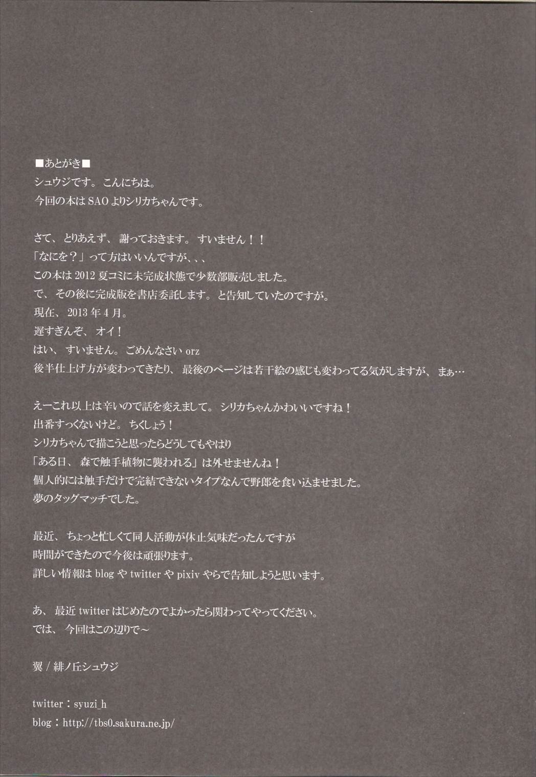 シリカを罠にハメる 17ページ