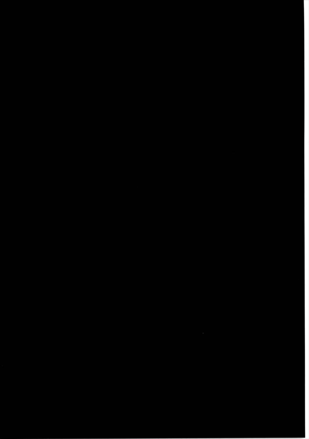 2B to be 催眠便器 4ページ