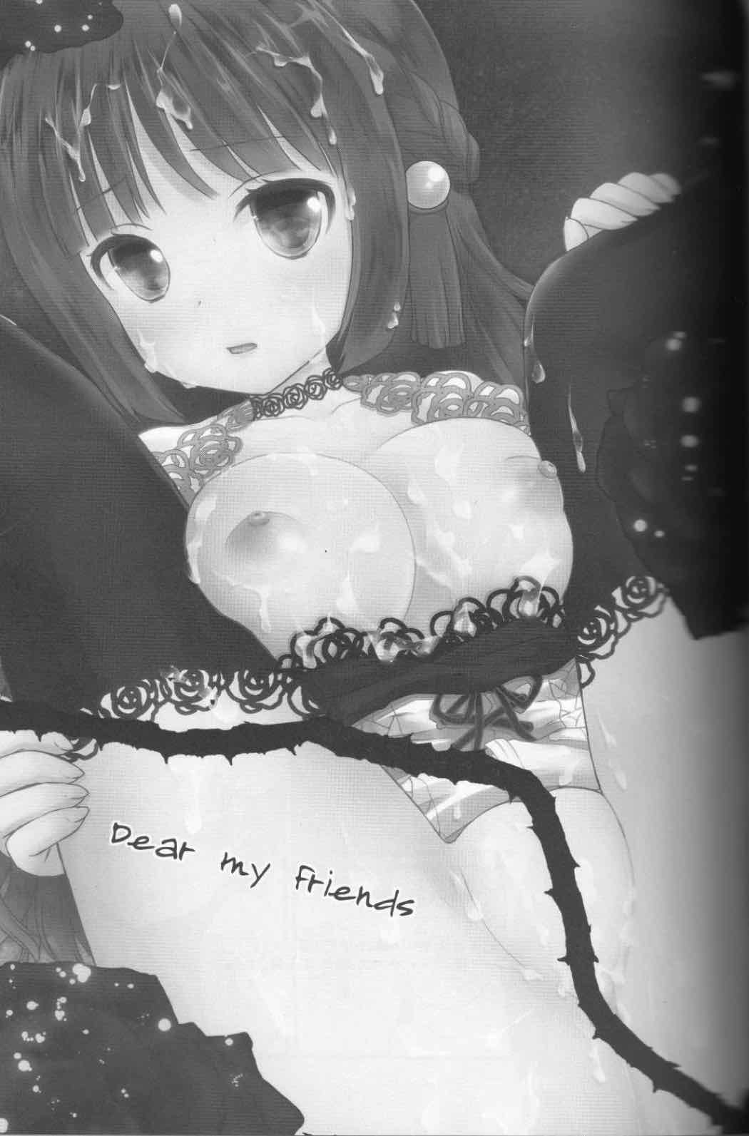 Dear my friends 2ページ