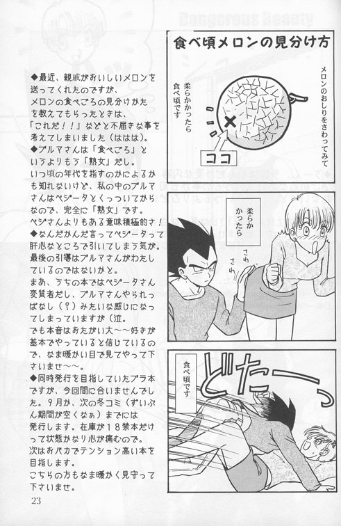 D.B 23ページ