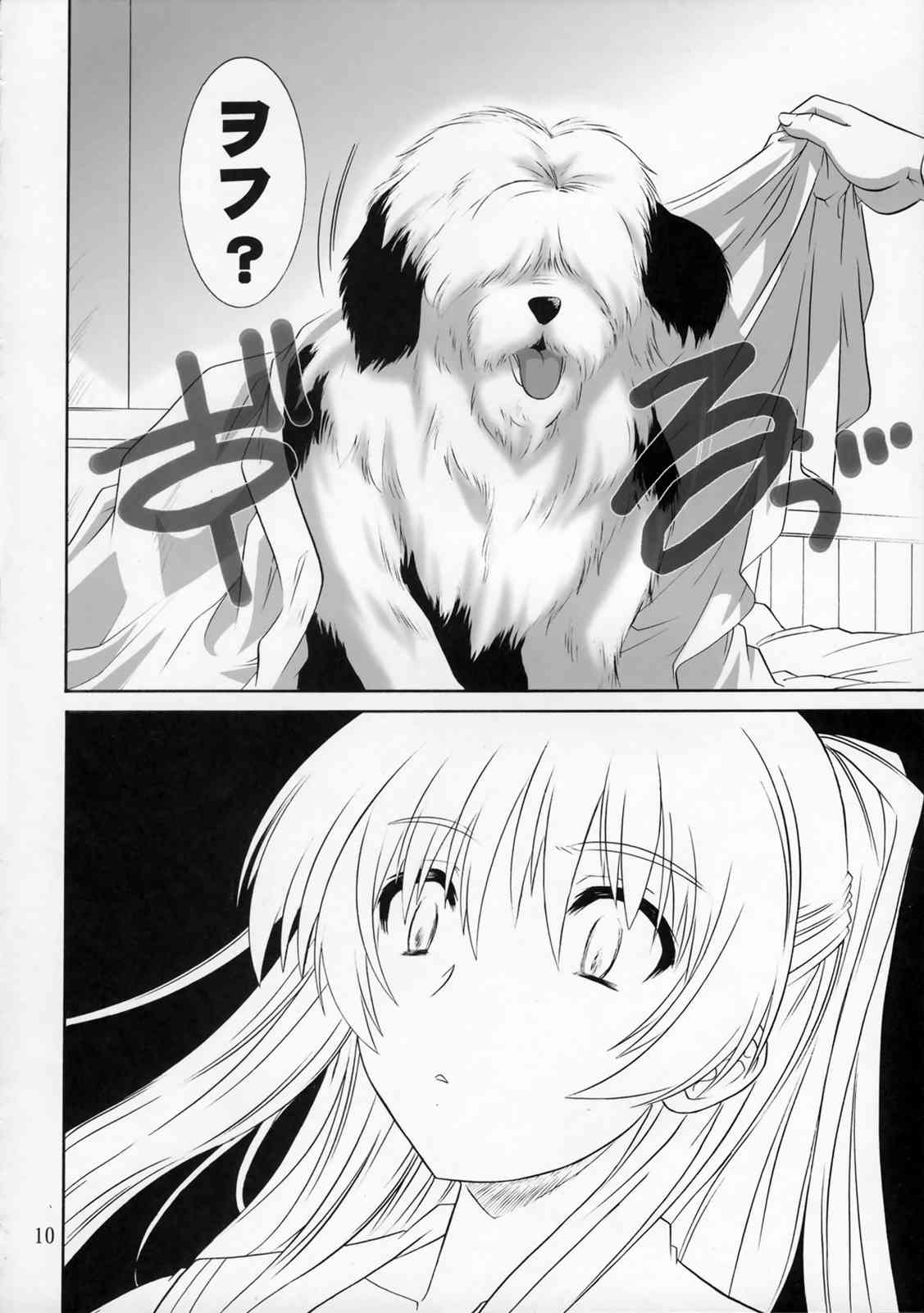 ToyHeart XRATED3 9ページ