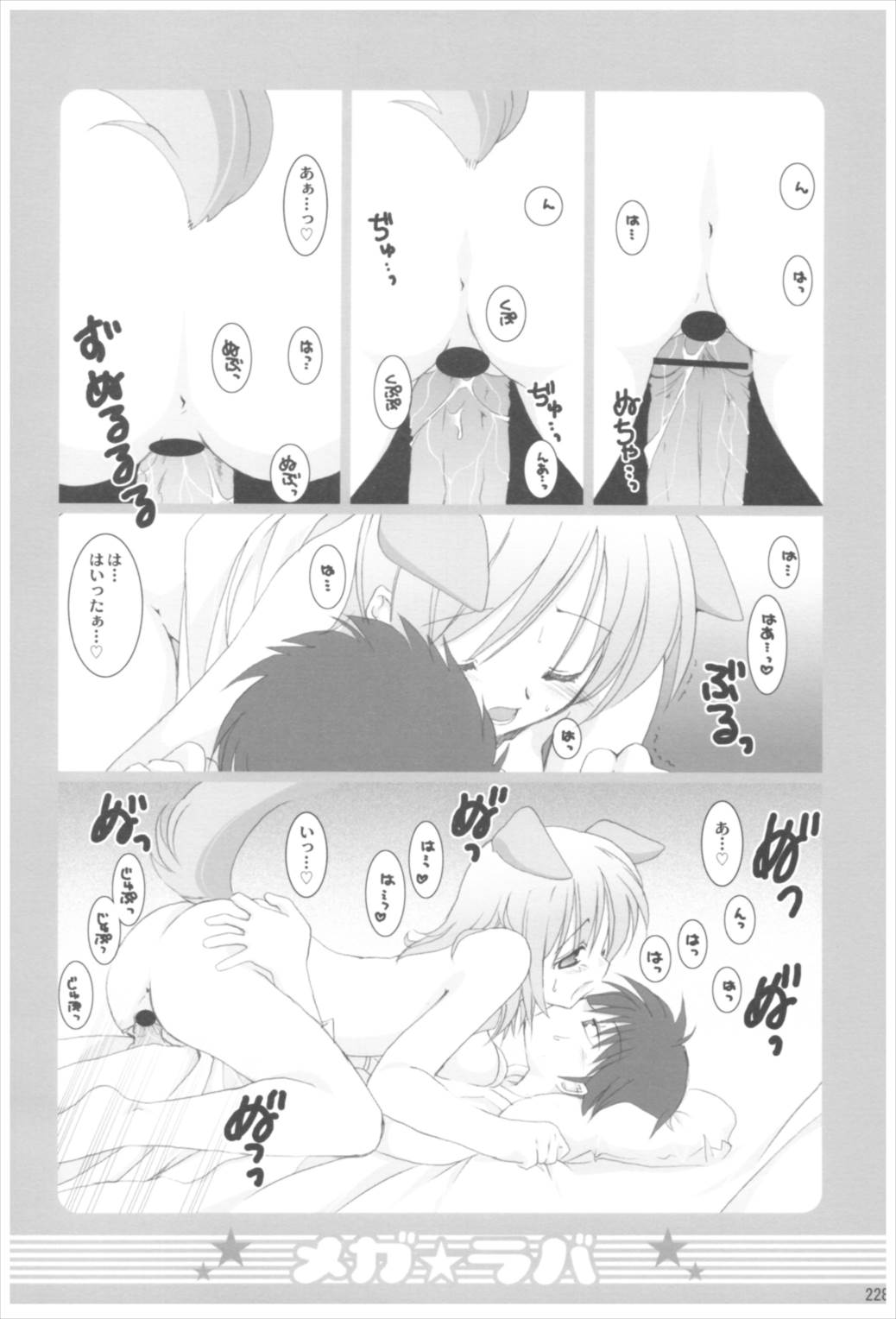 苗床育成観察記録 227ページ