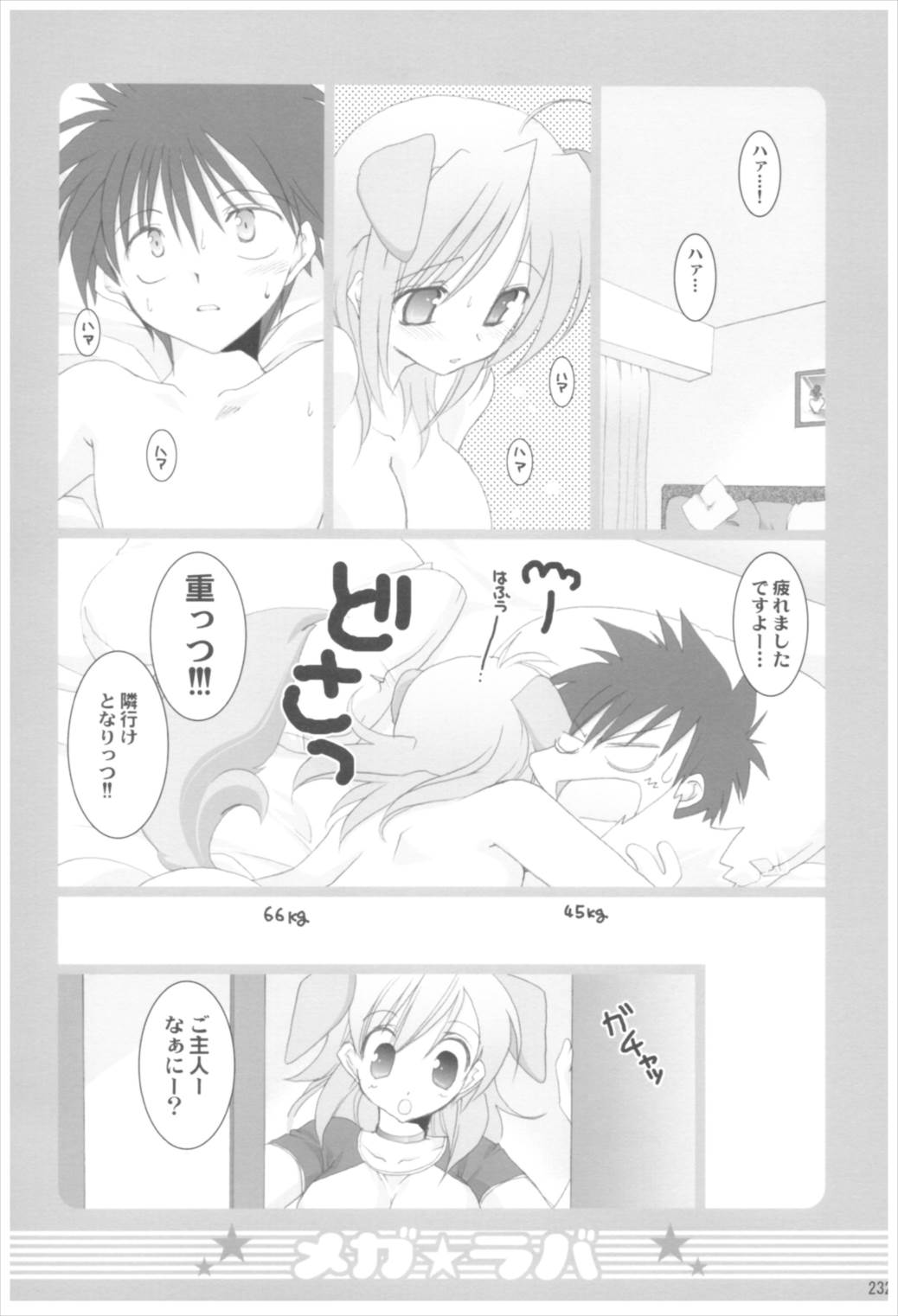 苗床育成観察記録 231ページ