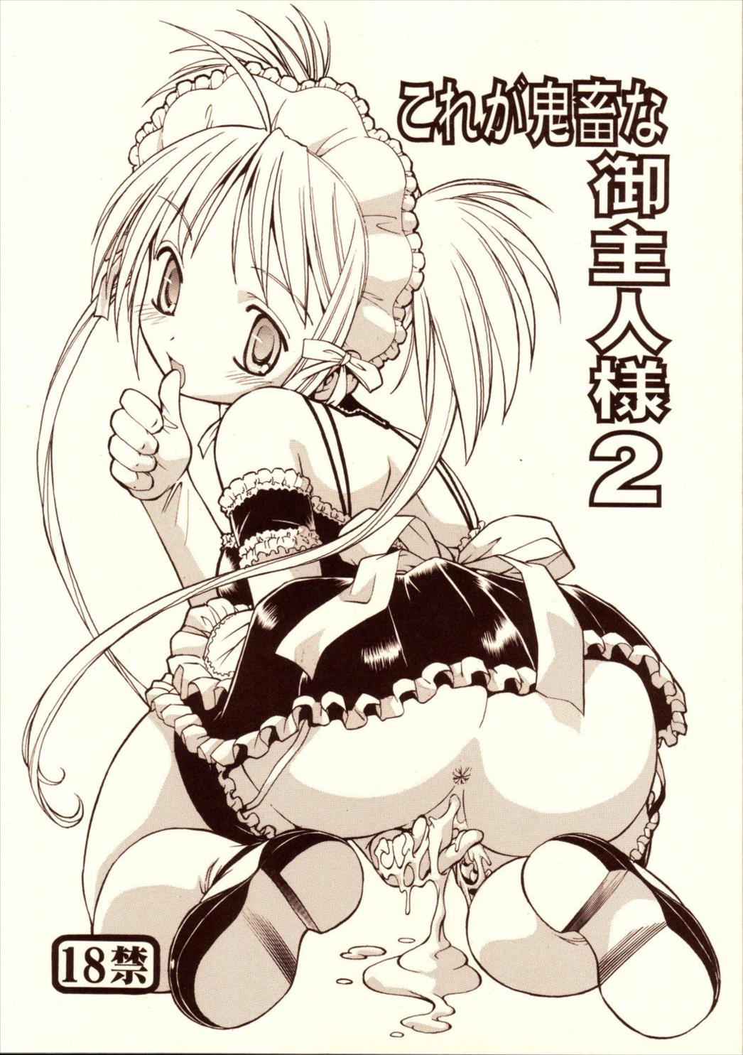 これが鬼畜な御主人様2 1ページ