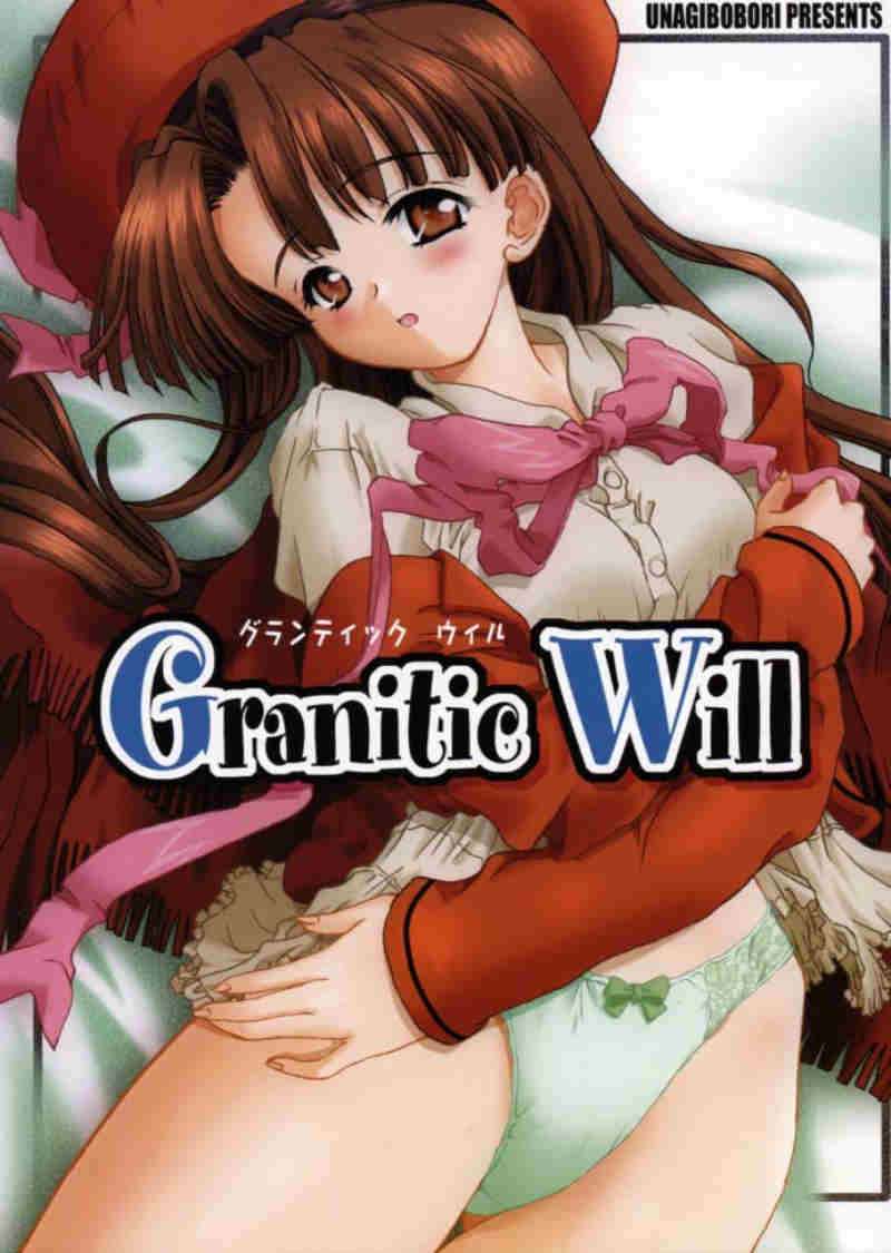 Granitic Wall 2ページ
