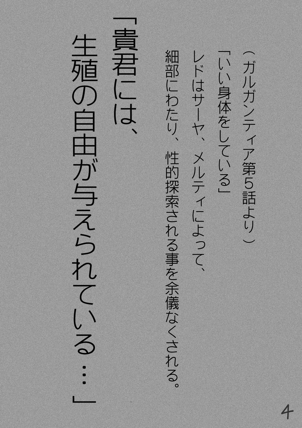 RST01～ガル●ンティア編～ 3ページ