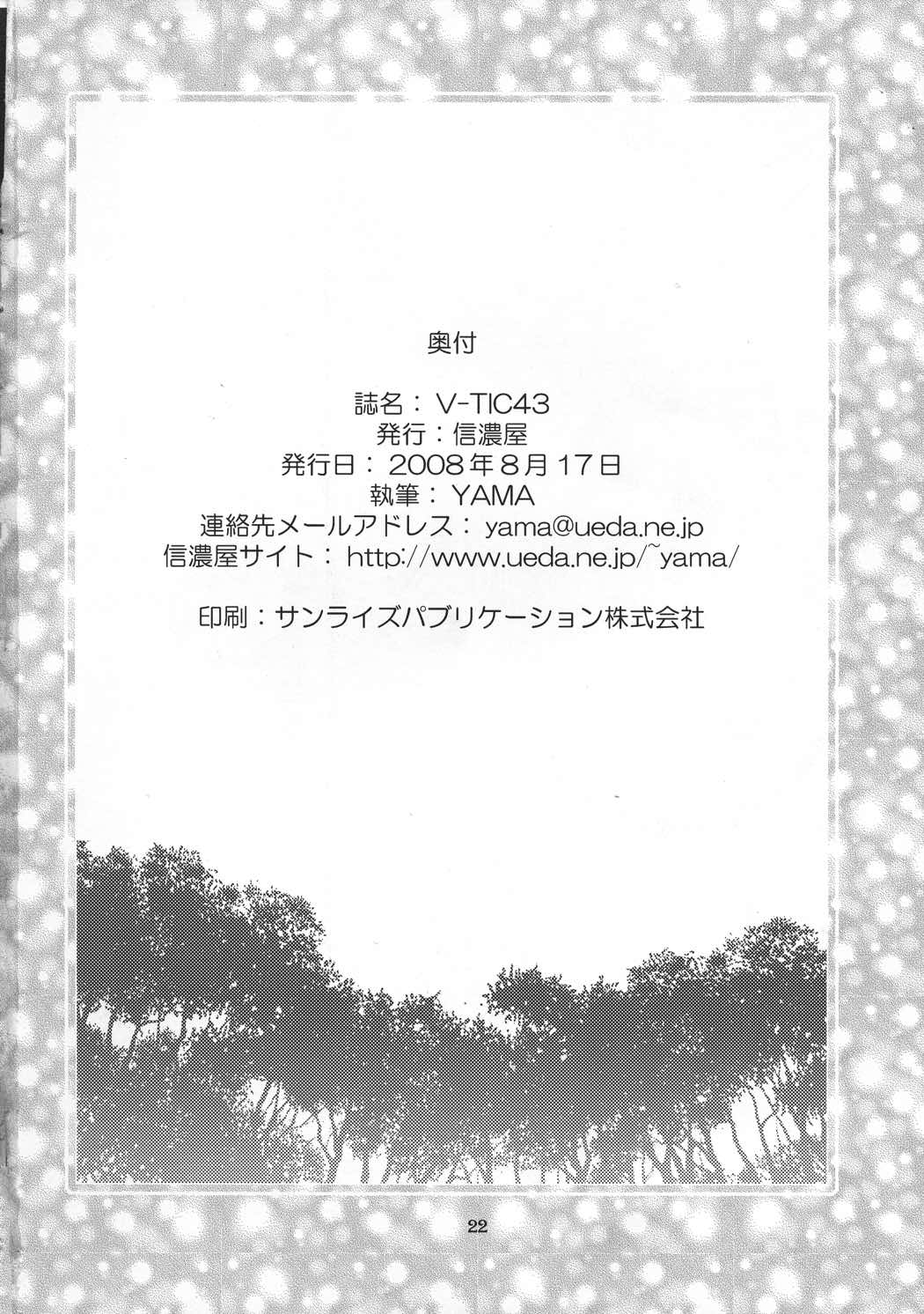 V-TIC 43 21ページ