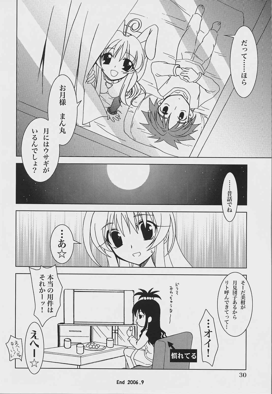 らぶとる ㈪ 29ページ