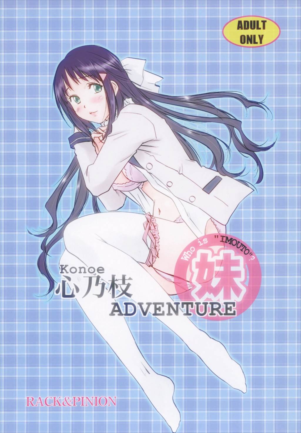 心乃枝ADVENTURE 1ページ