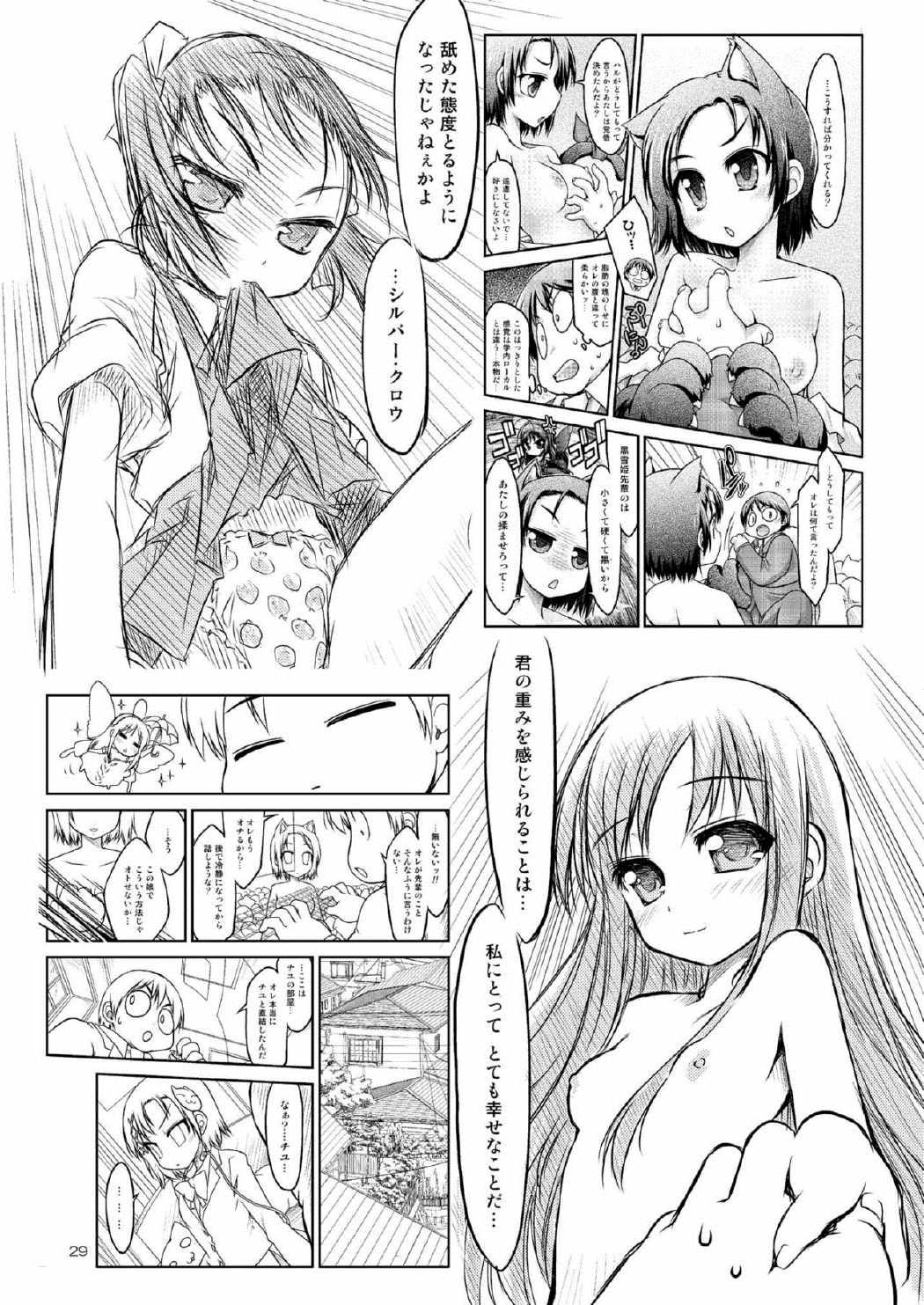 加速世界の禁忌領域 27ページ