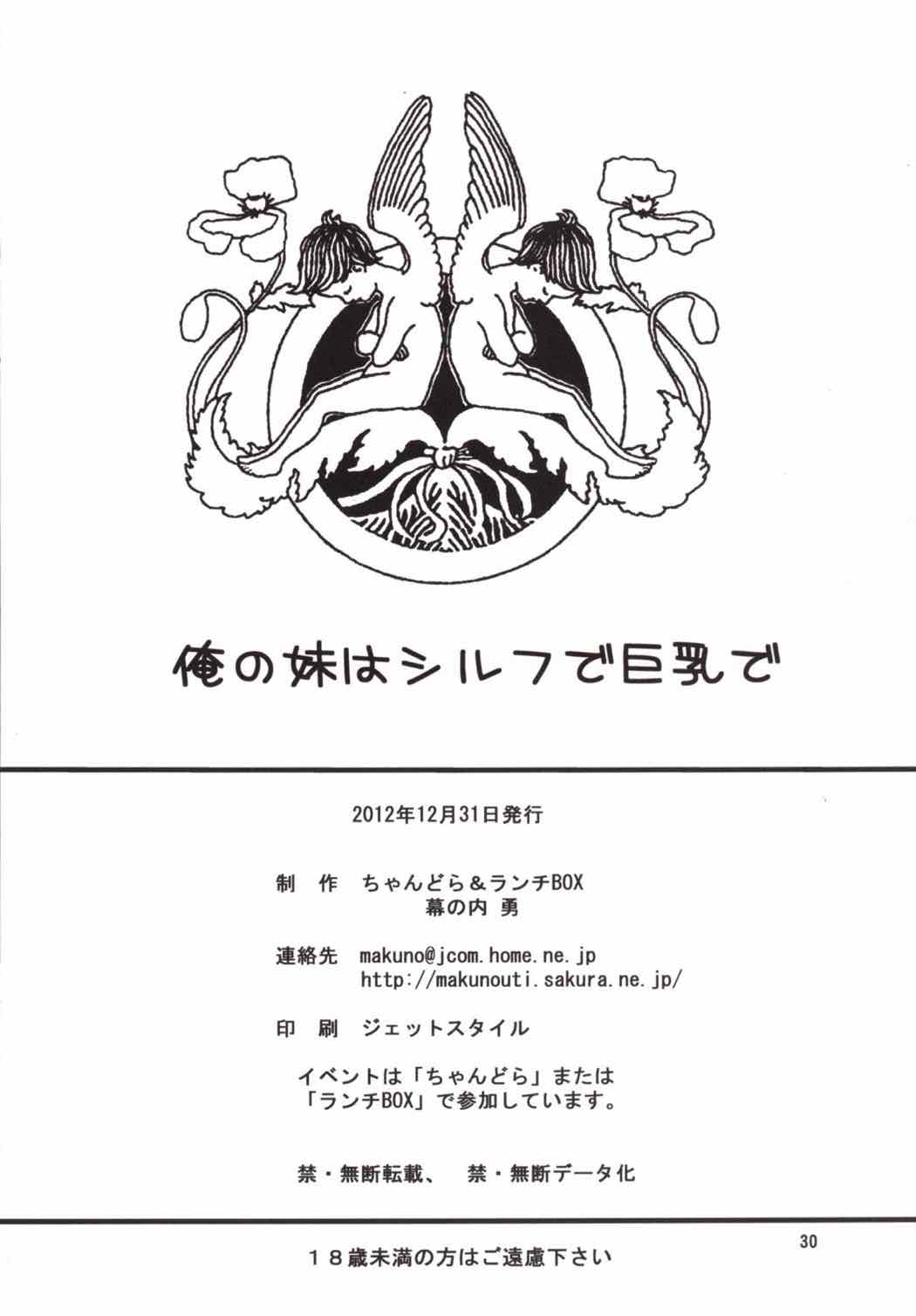 俺の妹はシルフで巨乳で 29ページ