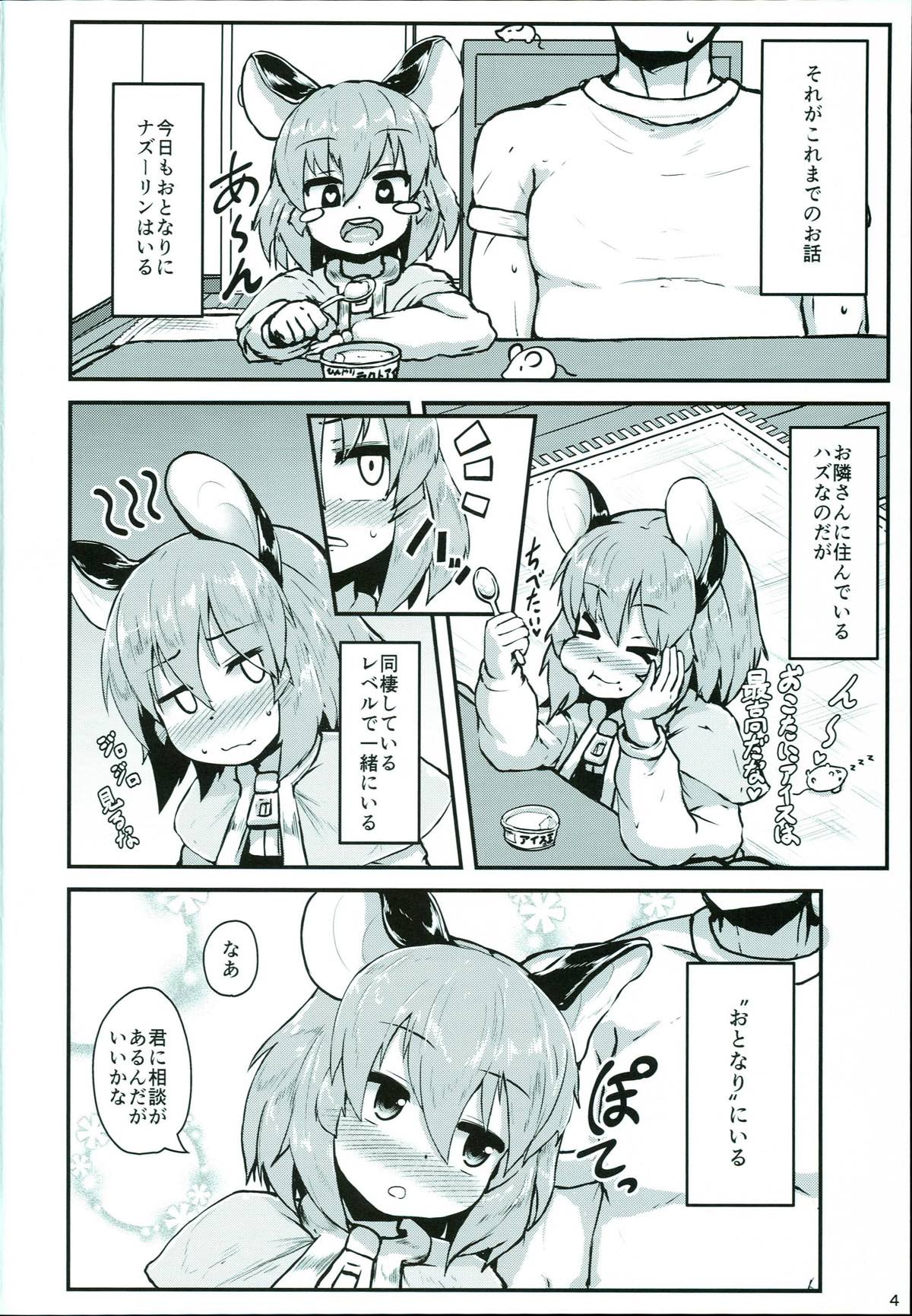 おとなりのナズーリンは繁殖期 3ページ