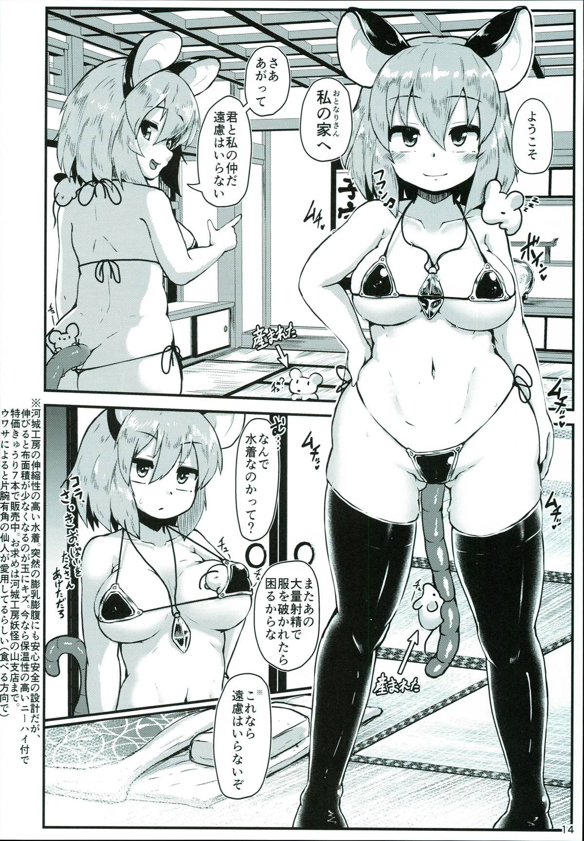 おとなりのナズーリンは繁殖期 13ページ