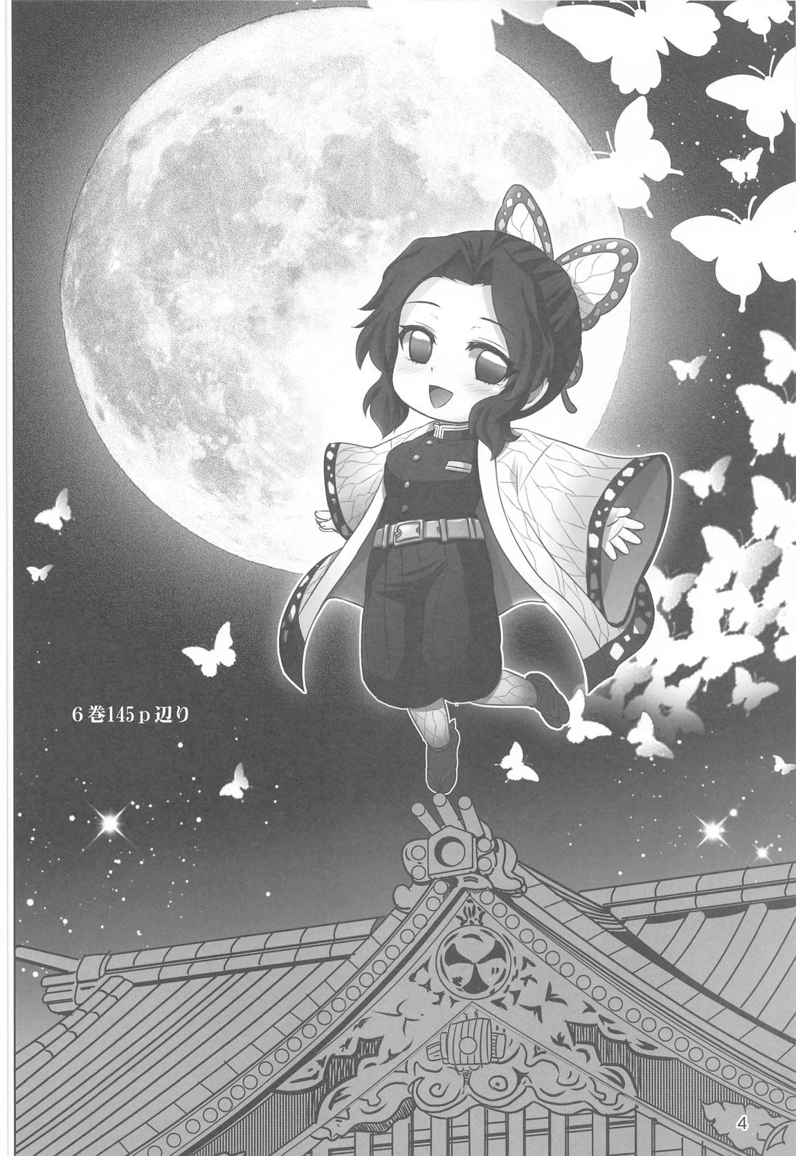 胡蝶の舞 3ページ