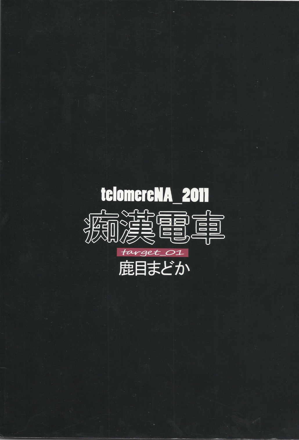 痴漢電車 target_01 鹿目まどか 24ページ