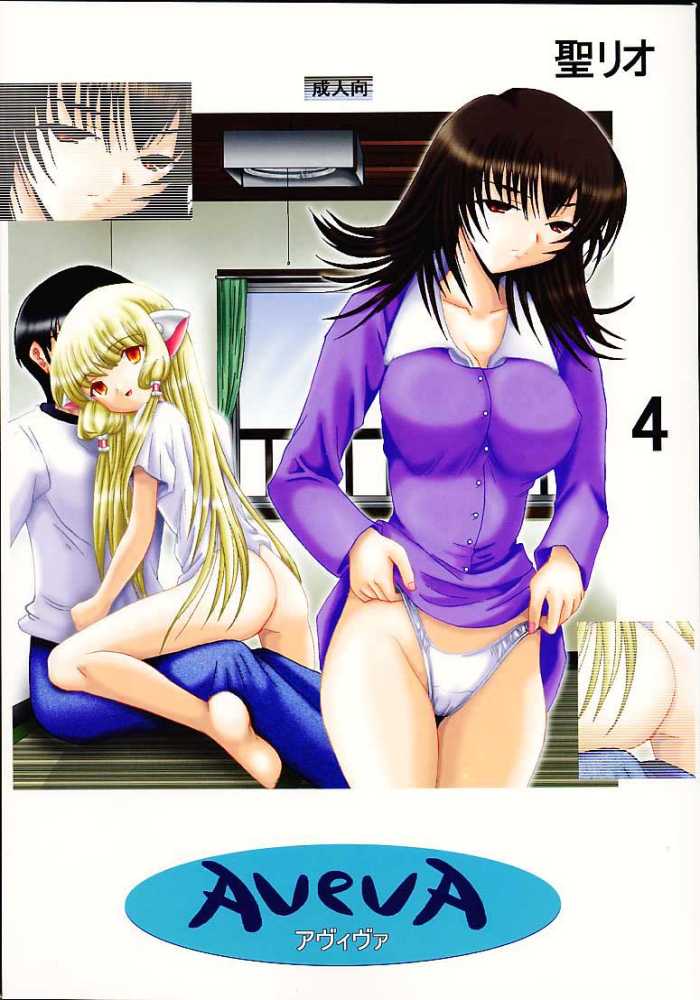 AVIVA 4 1ページ